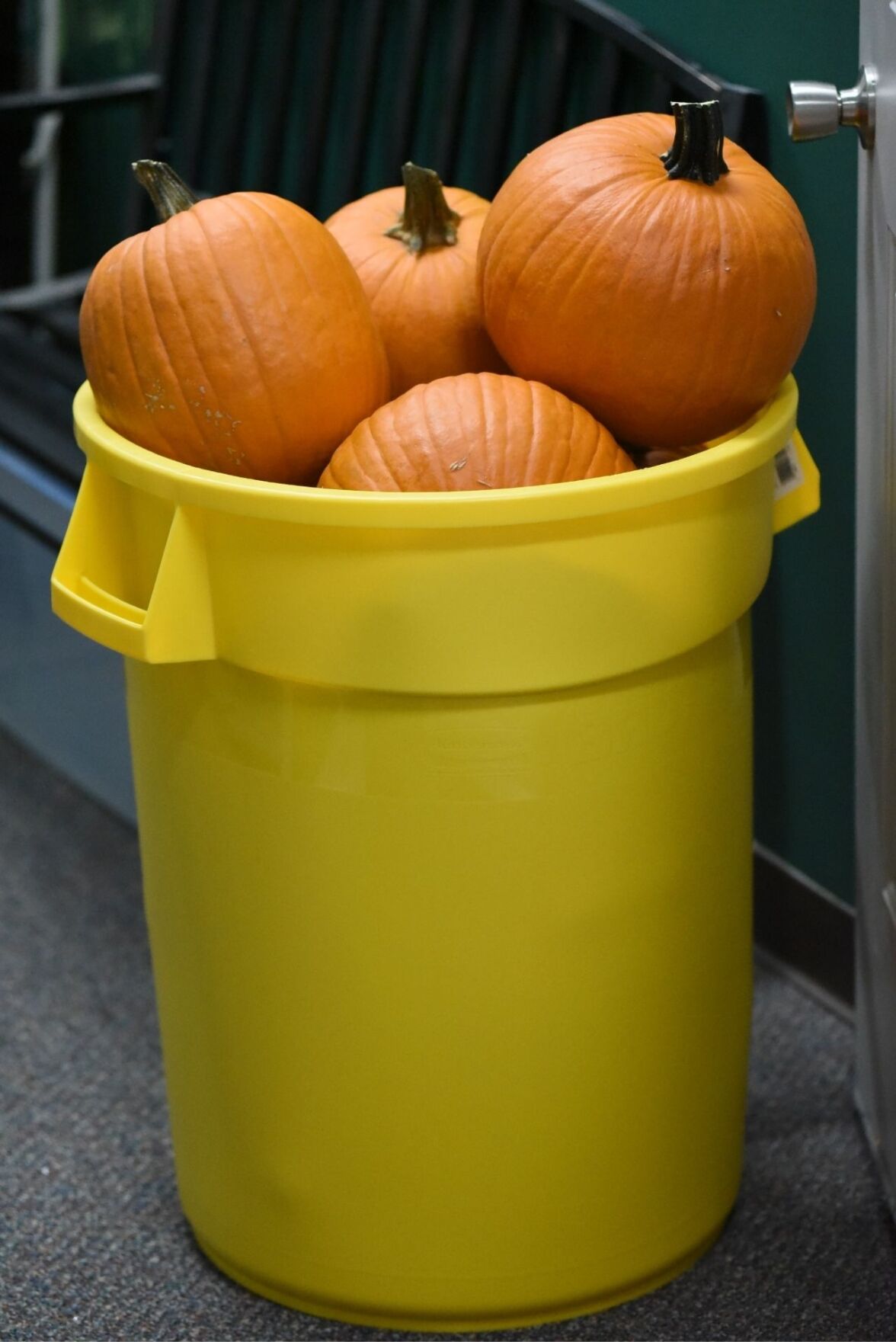 2020-10-17 Bashing Pumpkins Event 4.jpg